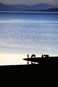 赛里木湖晨光曲