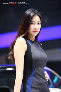 2013 Chengdu Motor Show第十六届成都国际车展